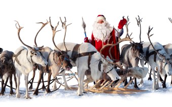 real-santa-claus-sleigh-and-reindeer_555587
