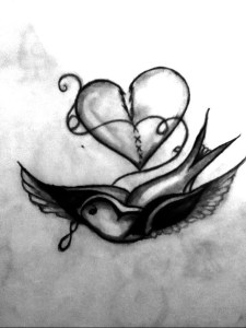 bird heart